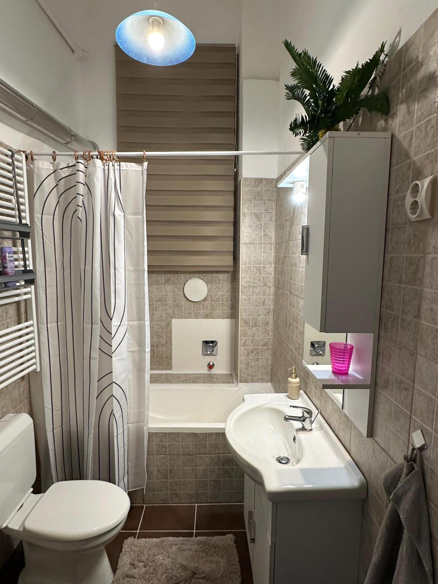 The Stylish Apartment *