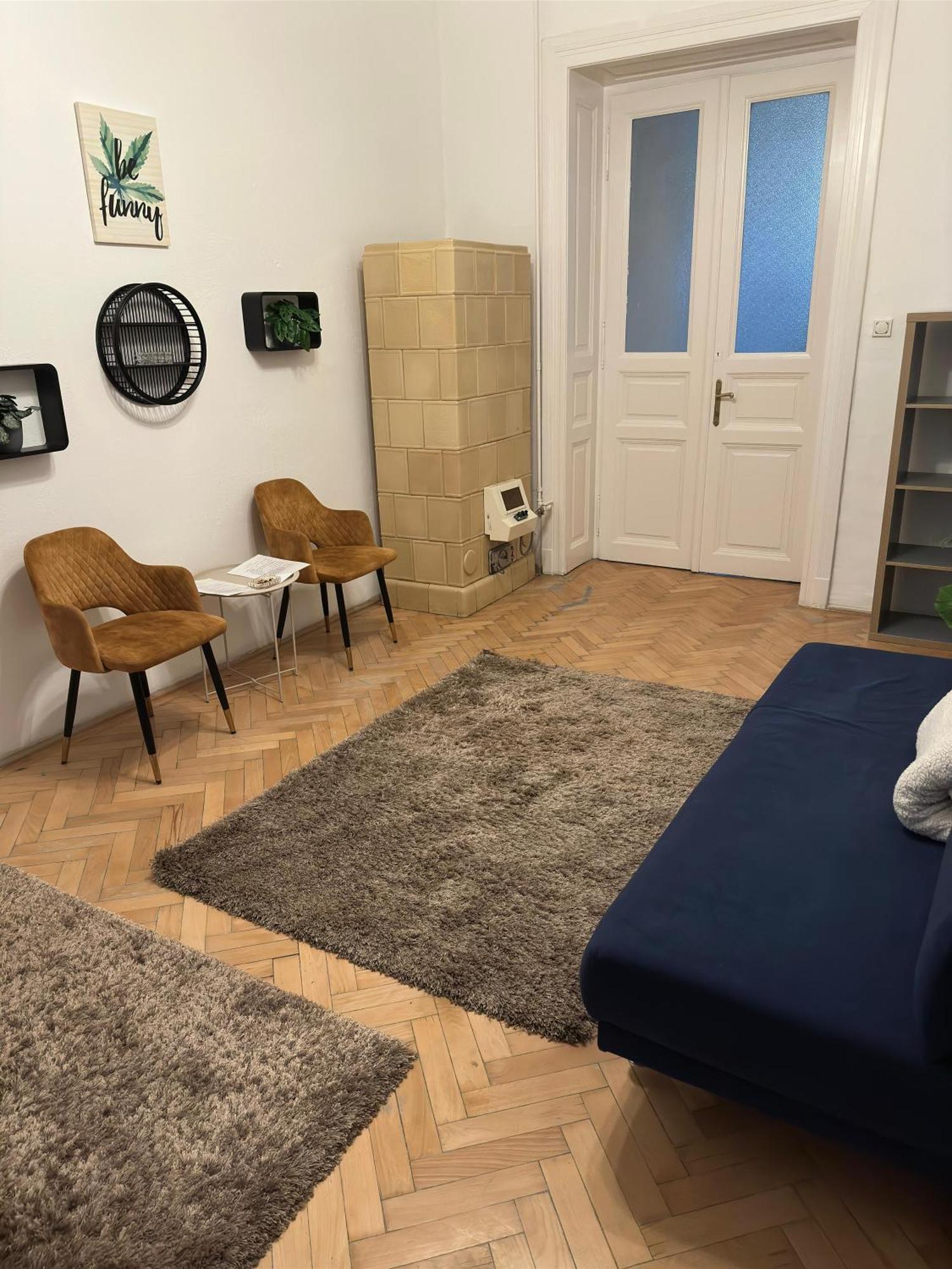 The Stylish Apartment *